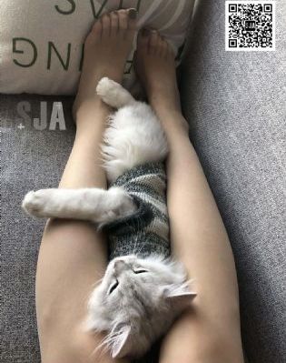 黃色a級片免費觀看_高清在線觀看完整版