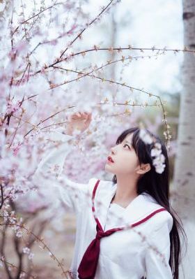 60年代歐美明星_DVD高清在線